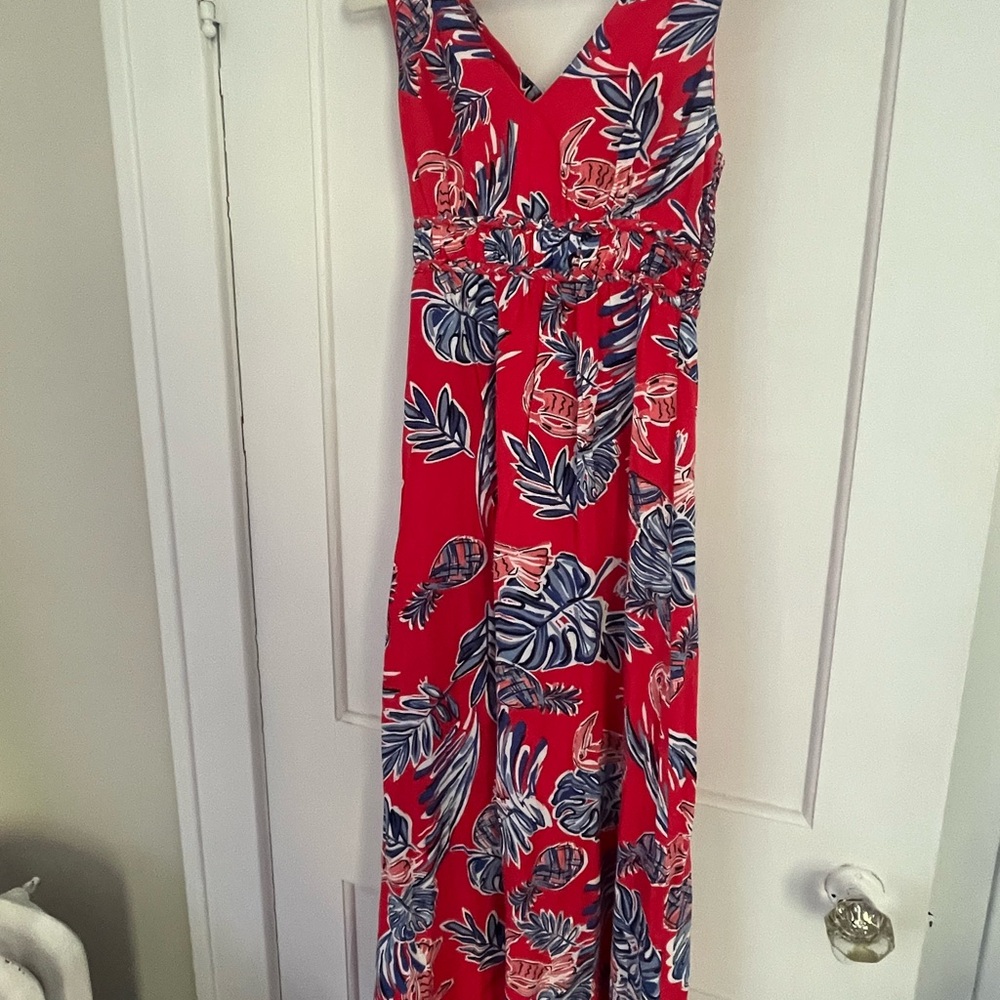Japna Red and Blue Sleeveless Maxi Sundress